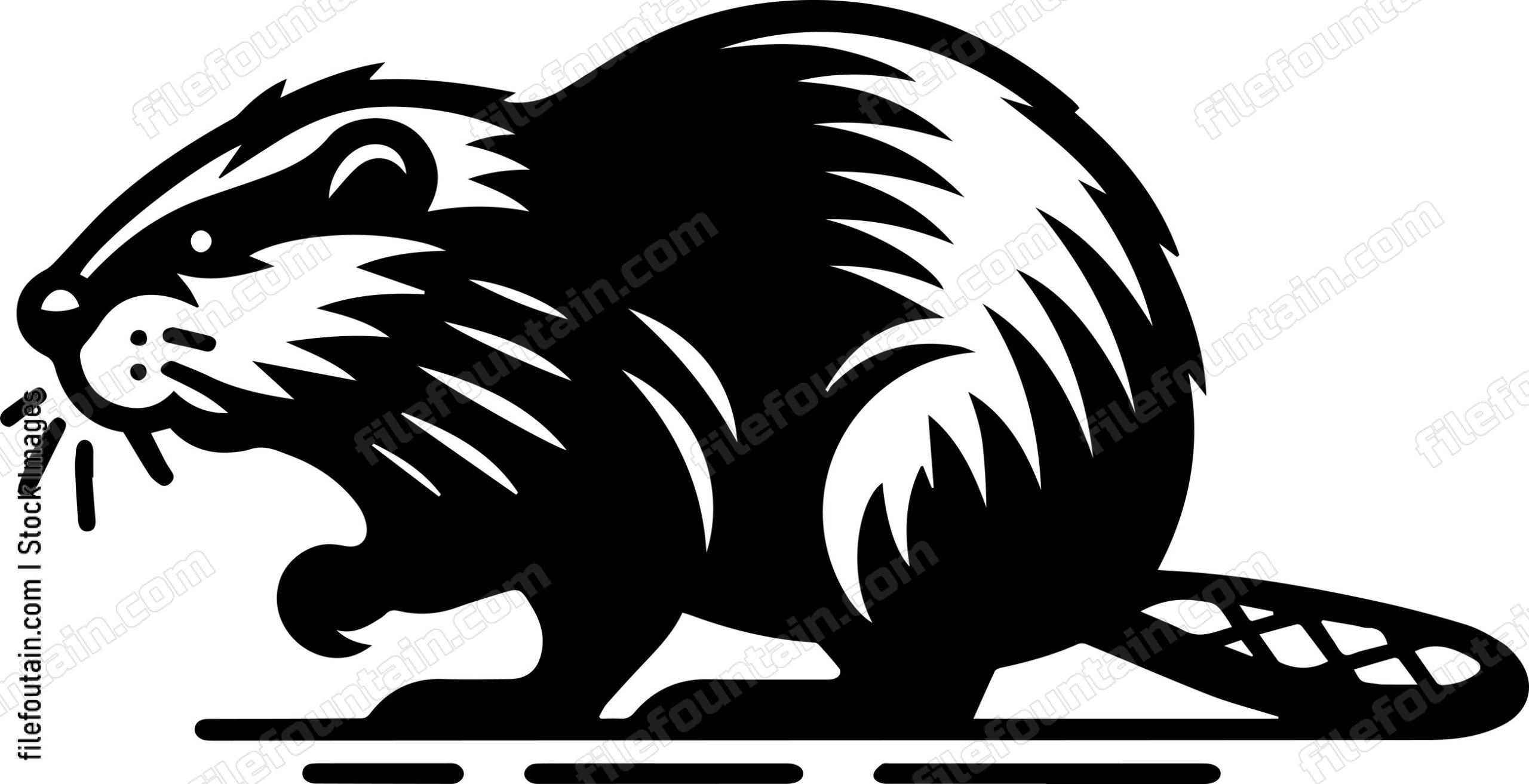 Beaver