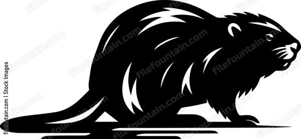 Beaver