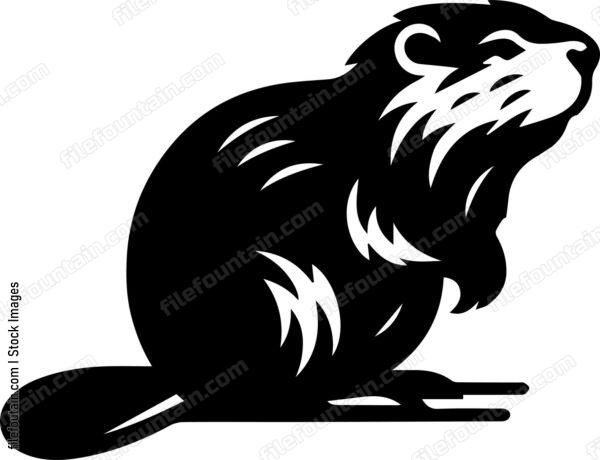 Beaver