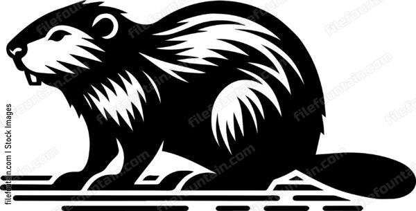 Beaver