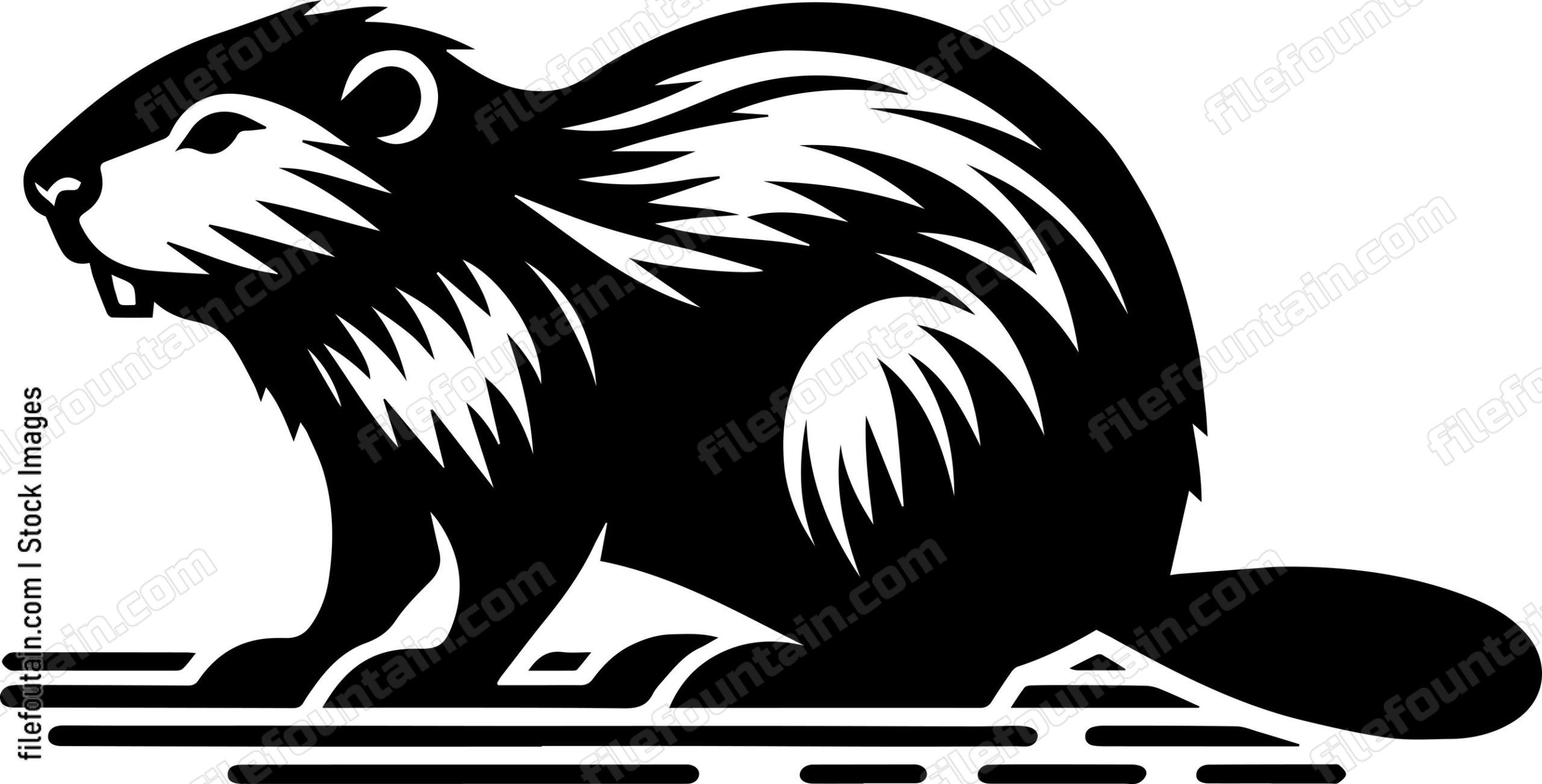 Beaver