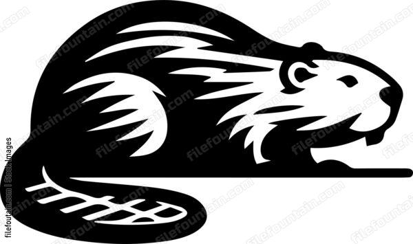 Beaver