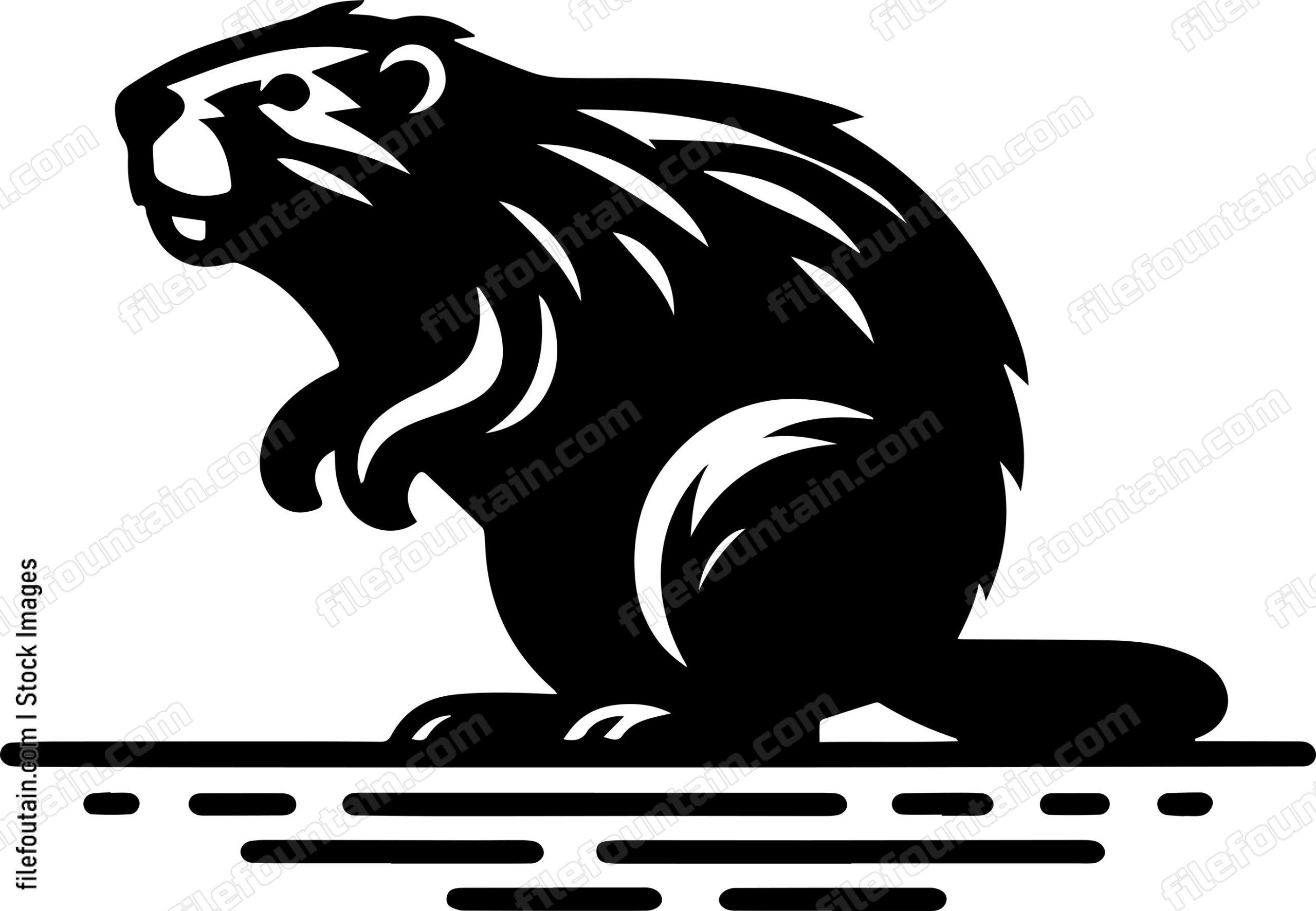 Beaver