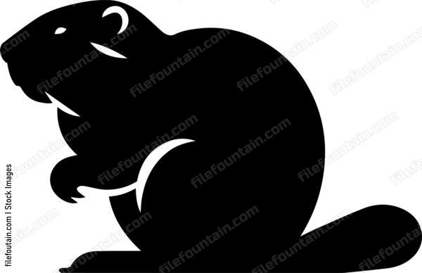 Beaver