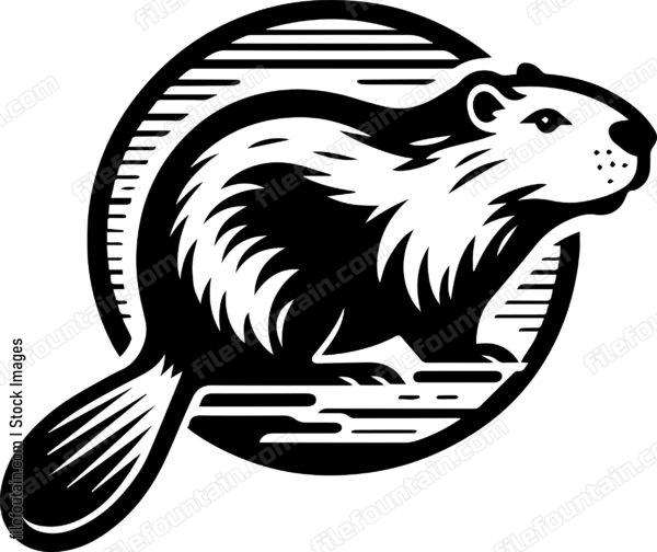 Beaver