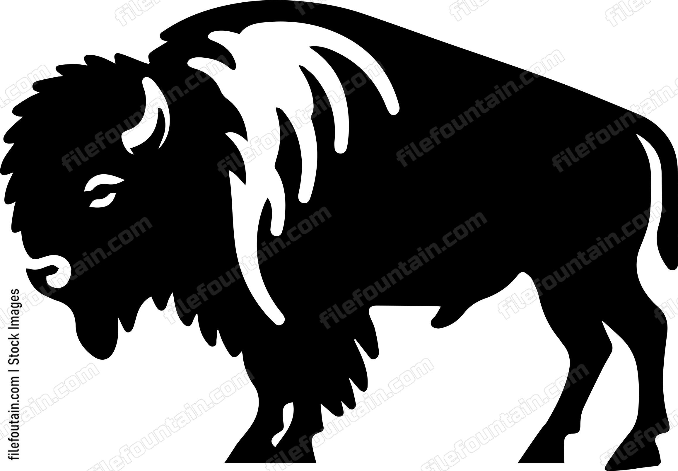 Bison