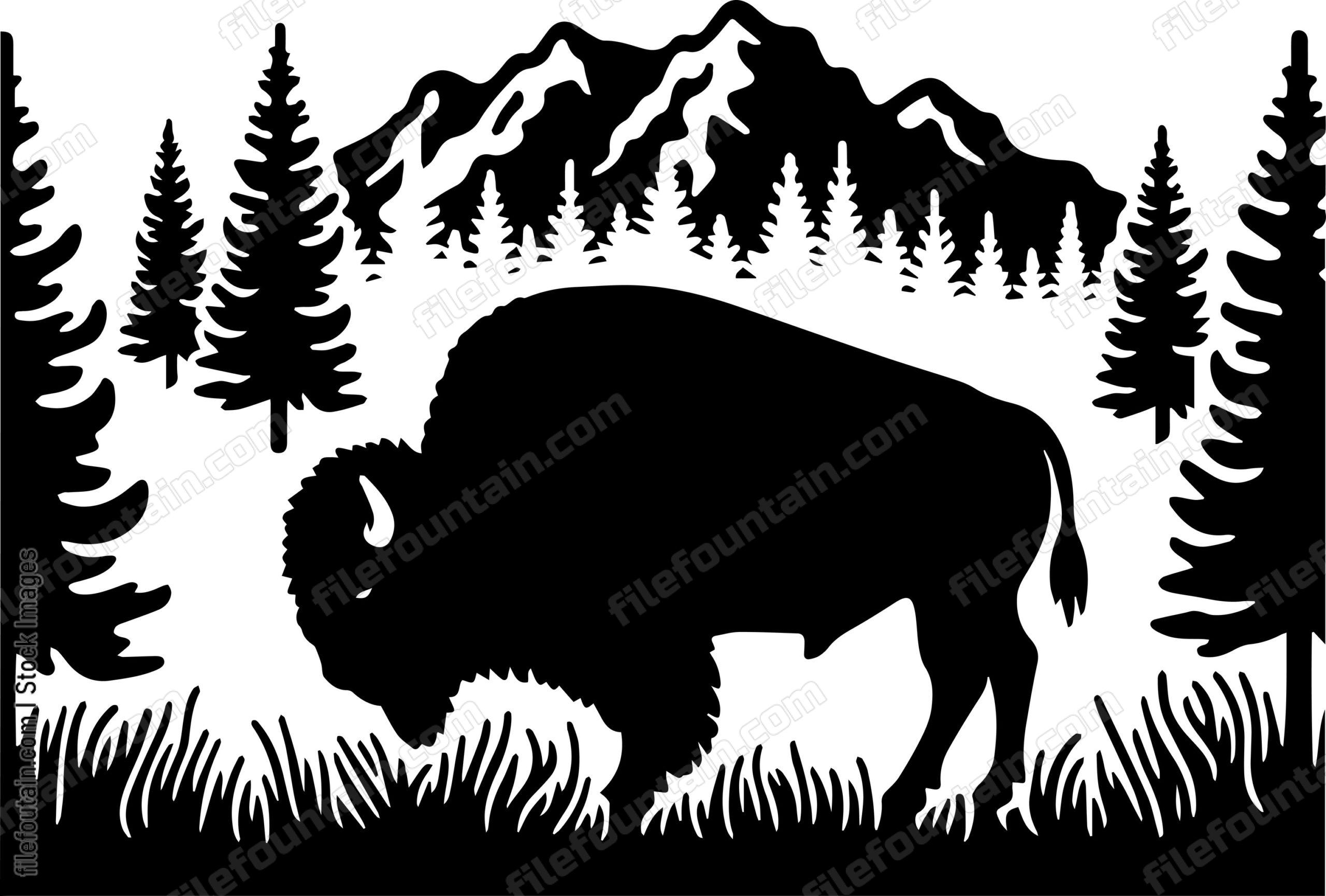 Bison