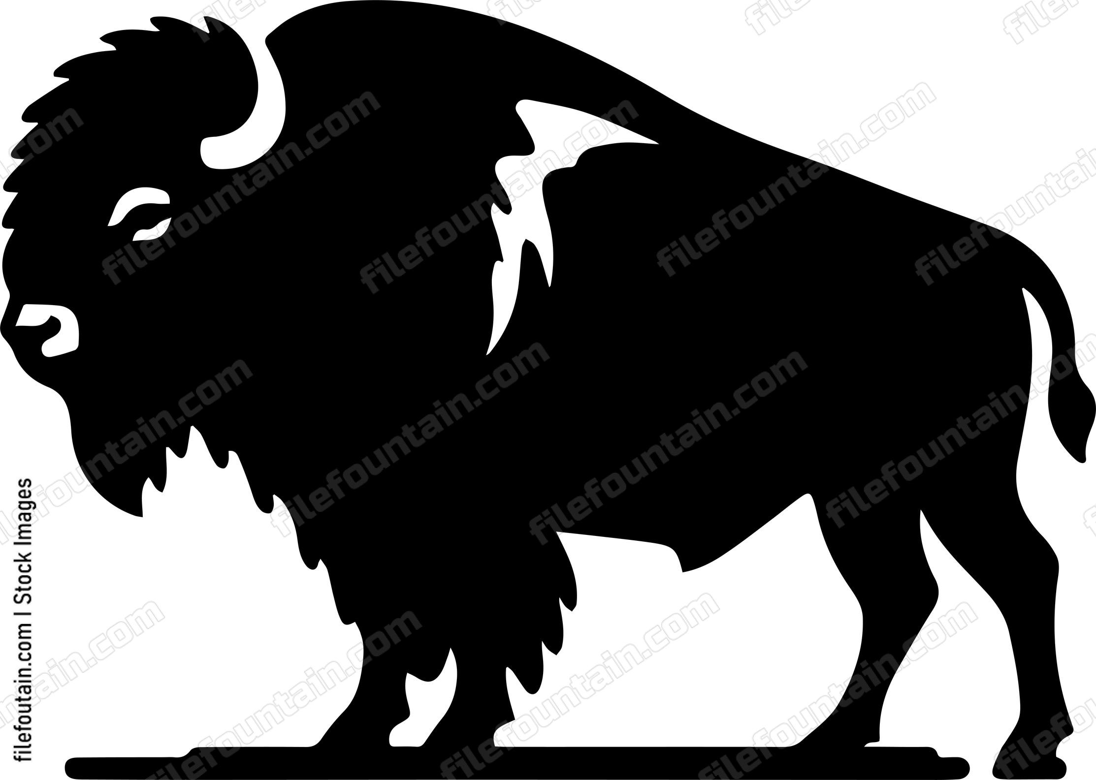 Bison