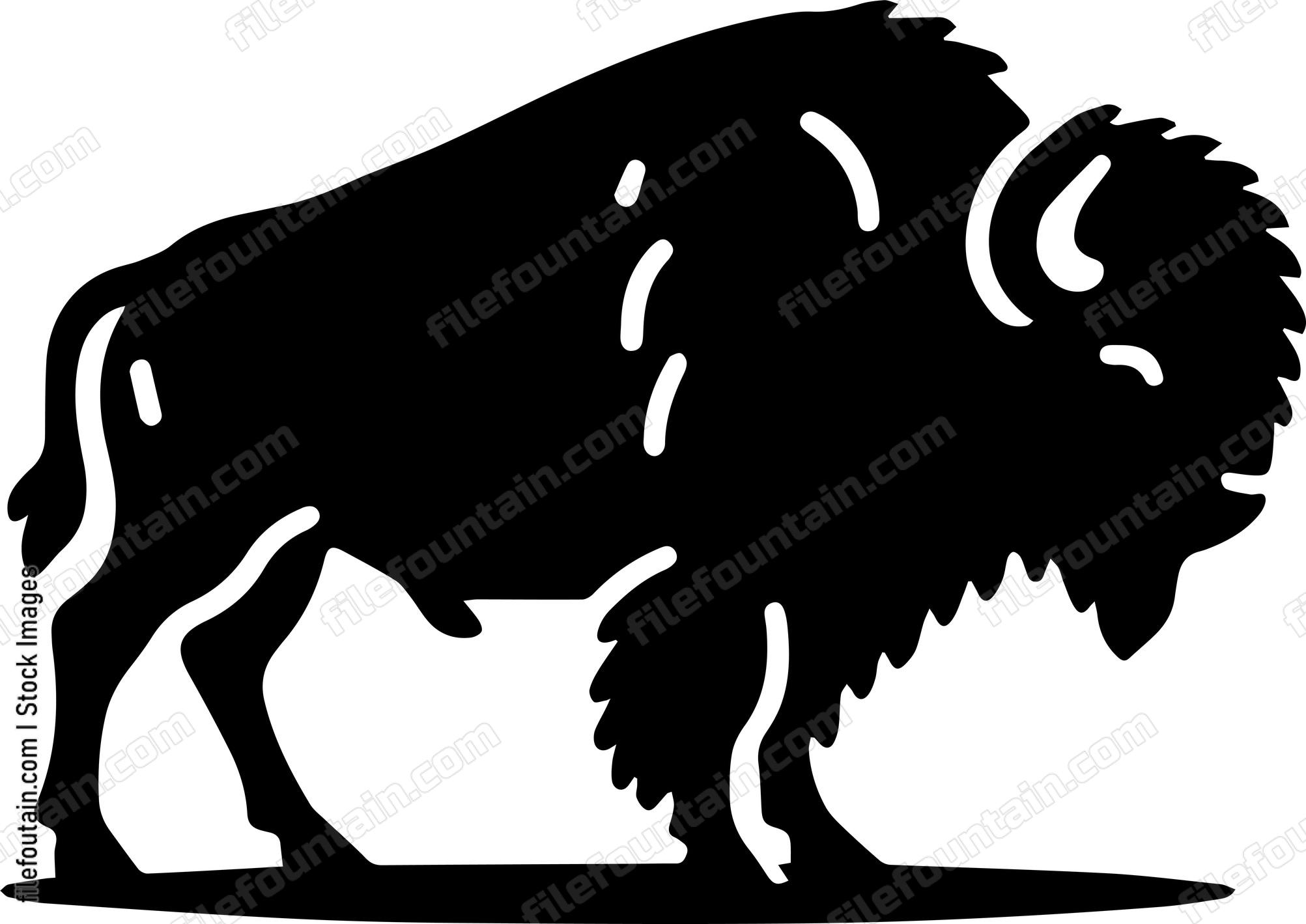 Bison