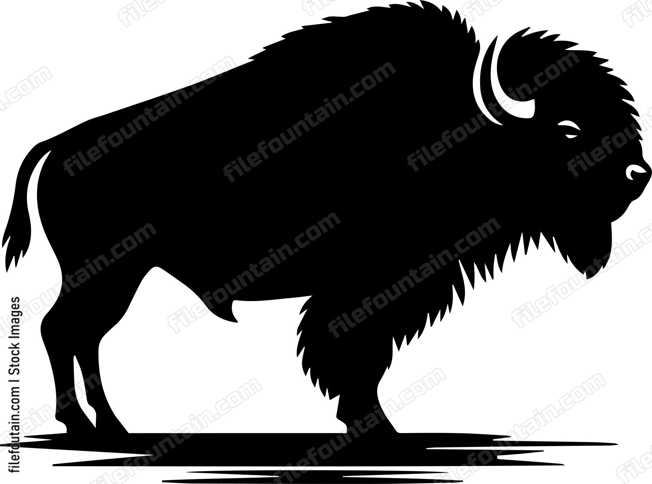 Bison