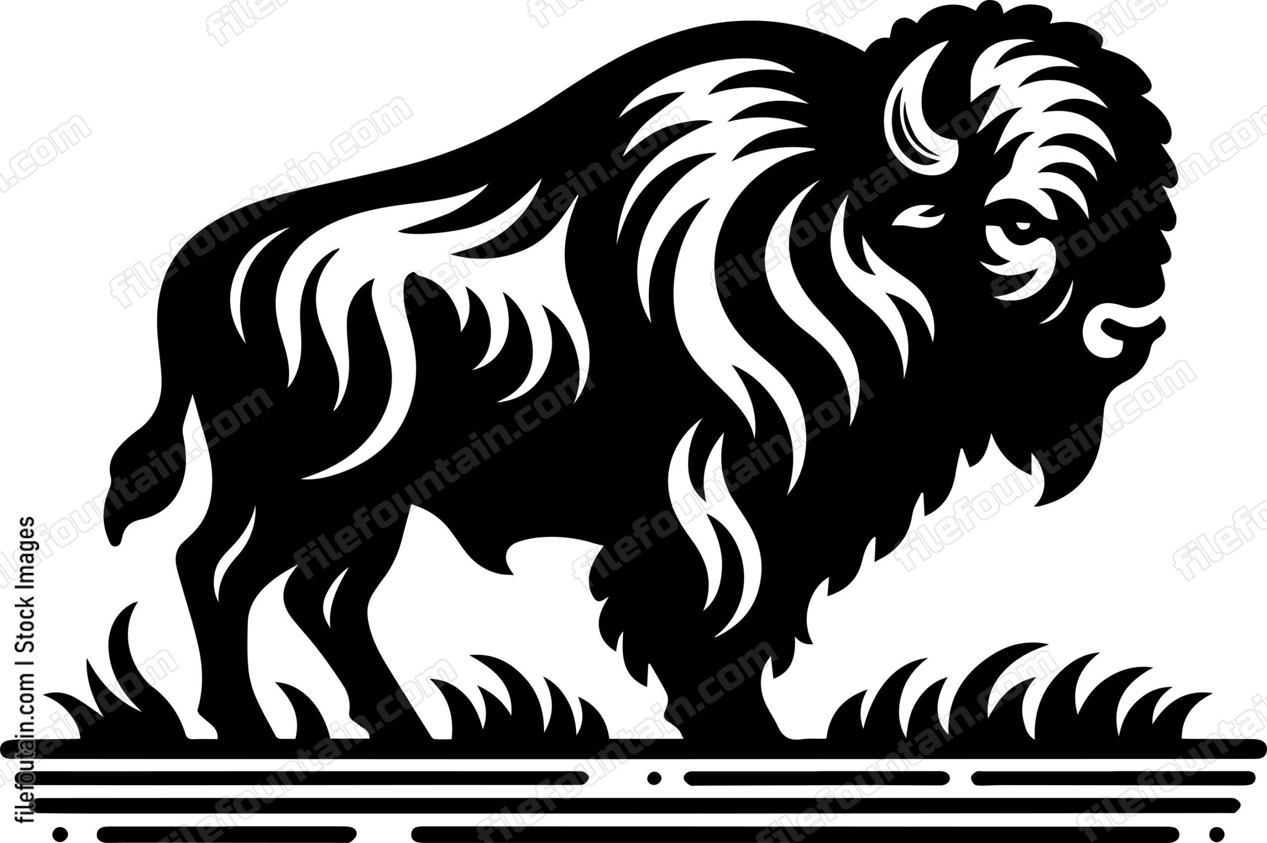 Bison