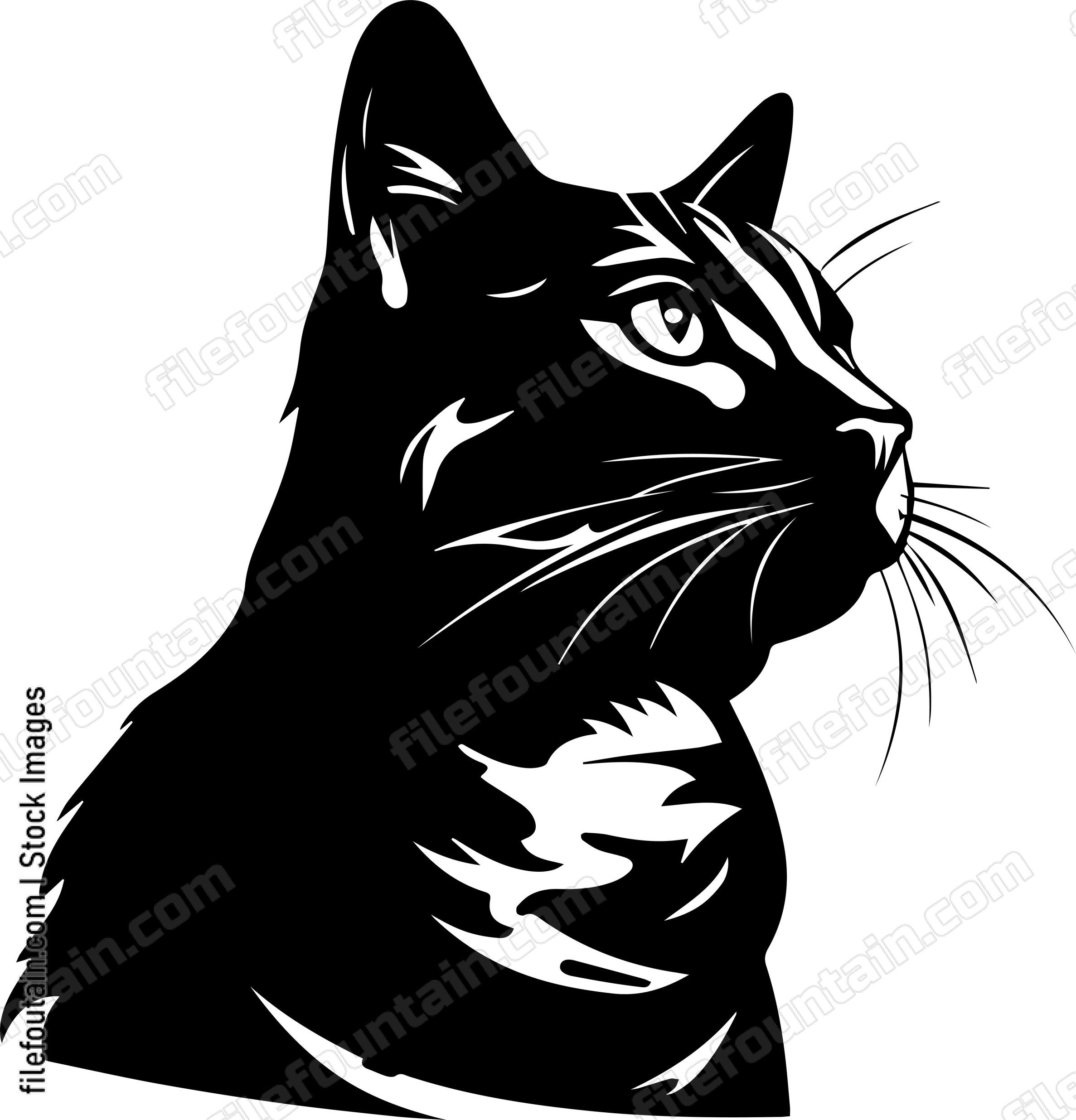 Black Cat