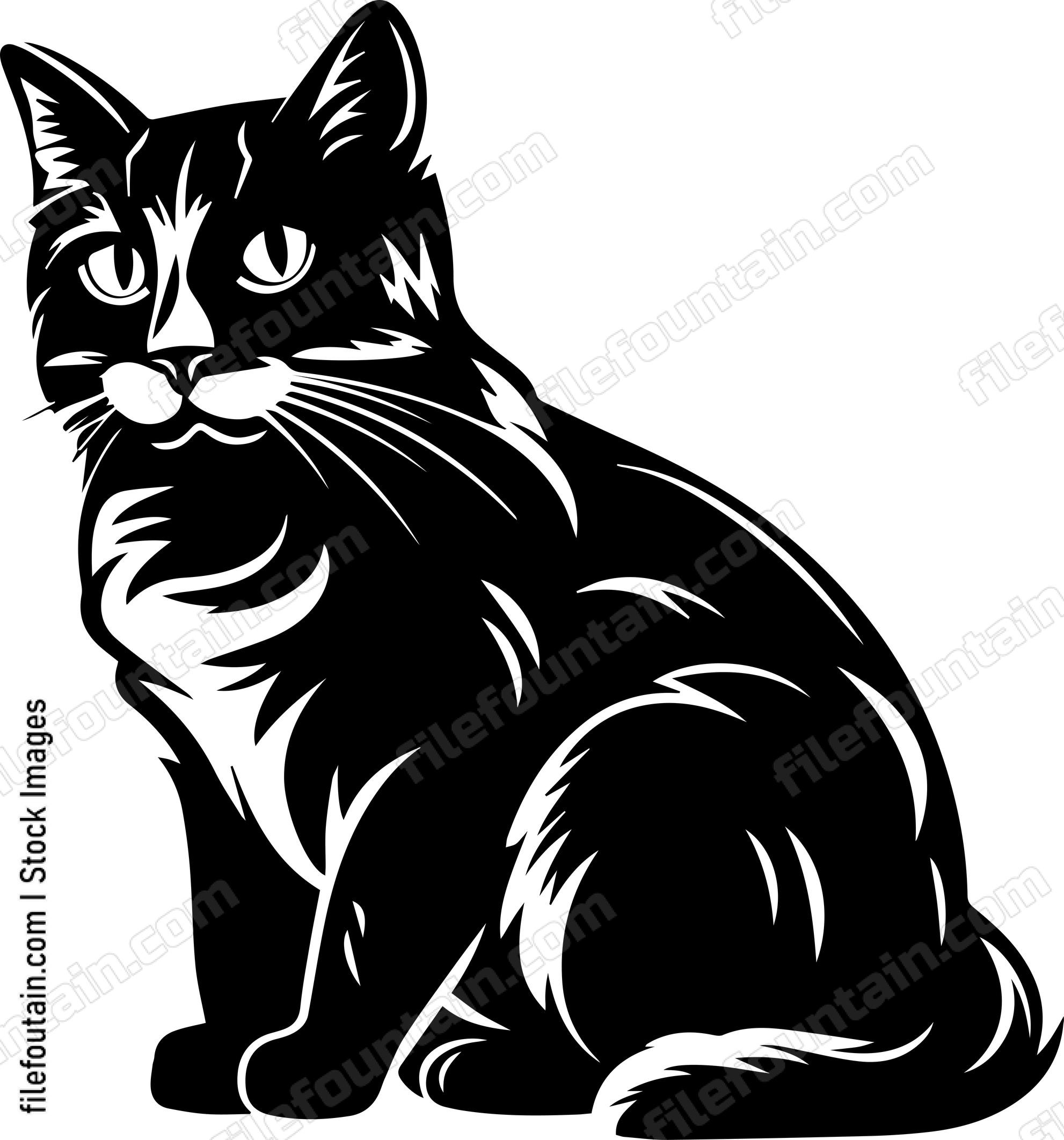 Black Cat