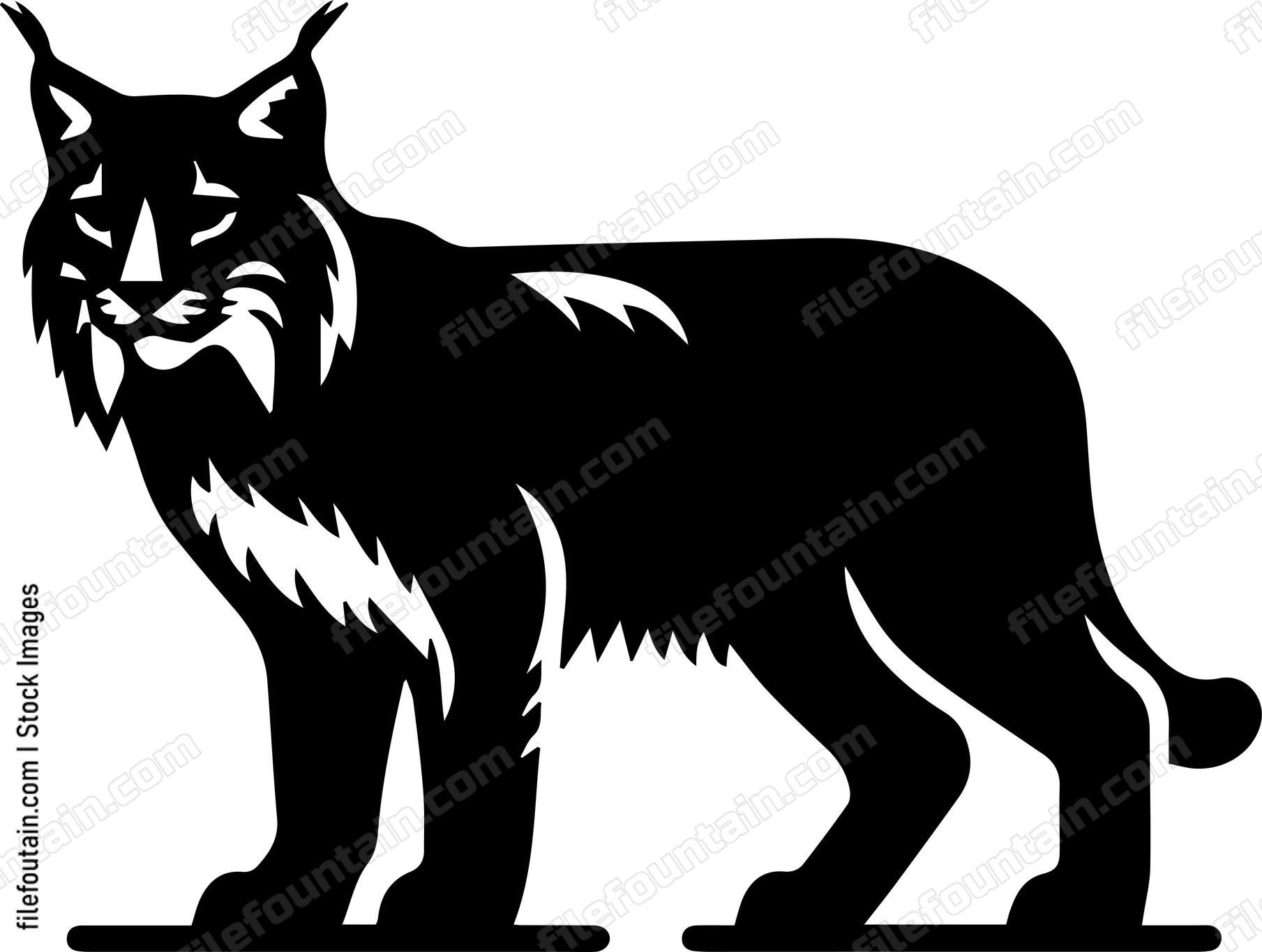Bobcat