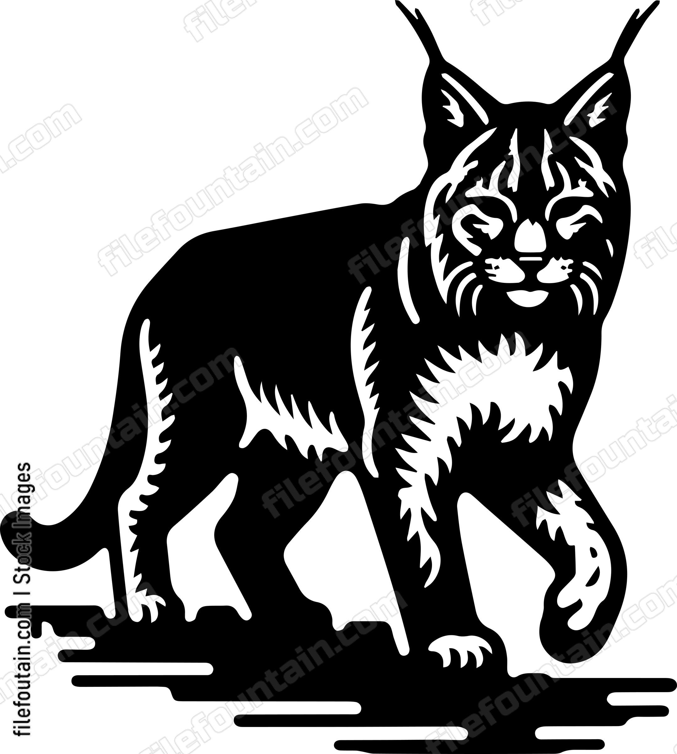 Bobcat