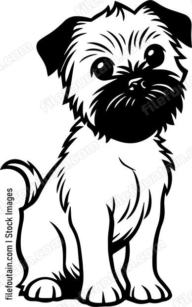 Border Terrier