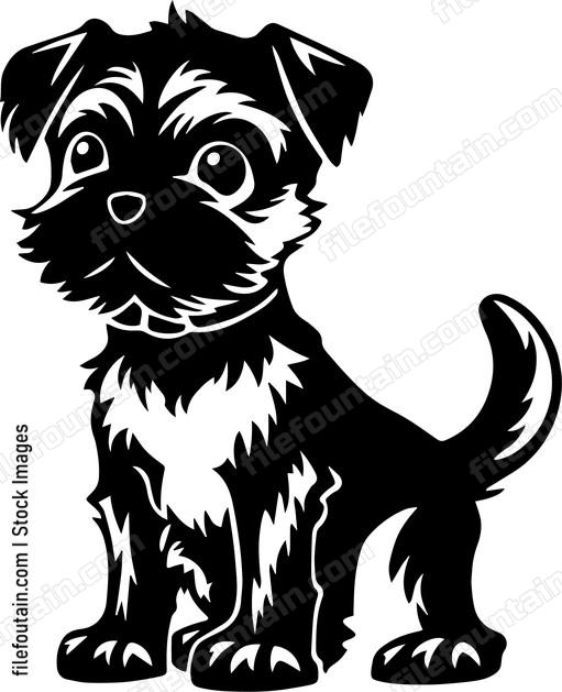 Border Terrier
