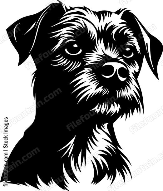 Border Terrier