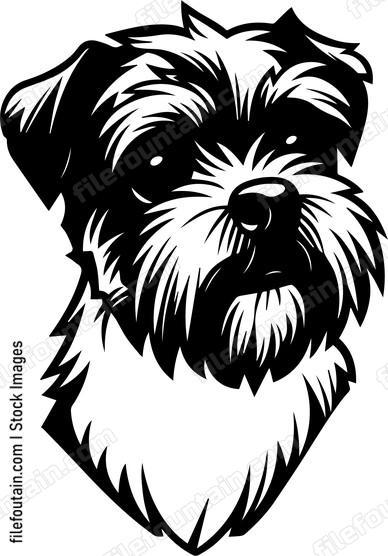 Border Terrier