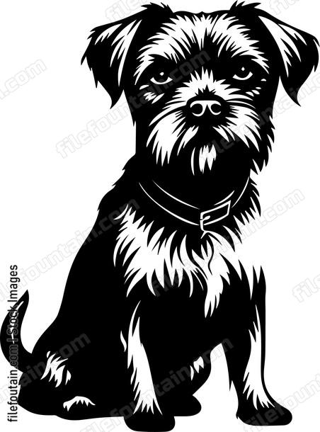 Border Terrier