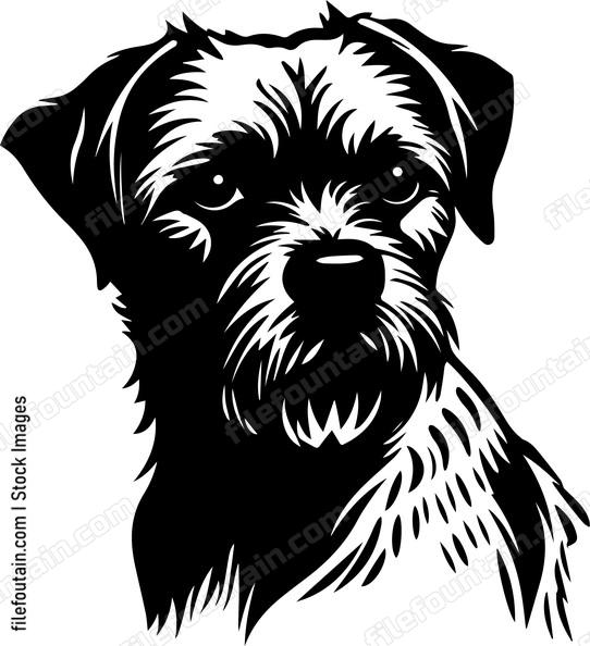 Border Terrier