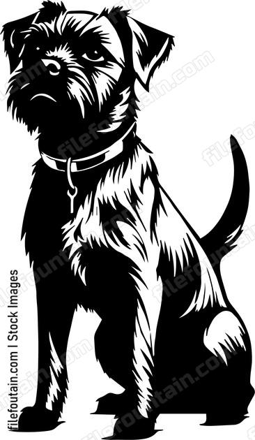 Border Terrier