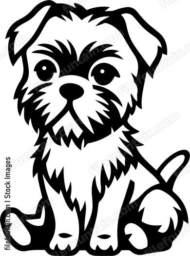 Border Terrier