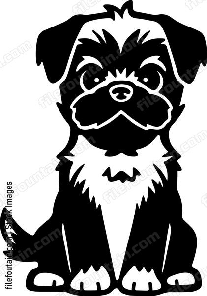 Border Terrier