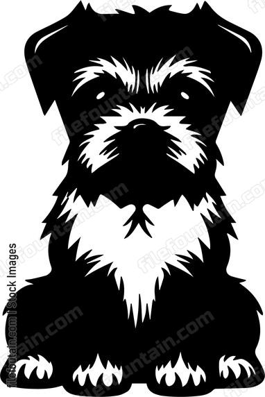 Border Terrier