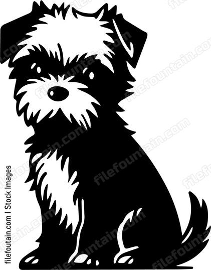 Border Terrier