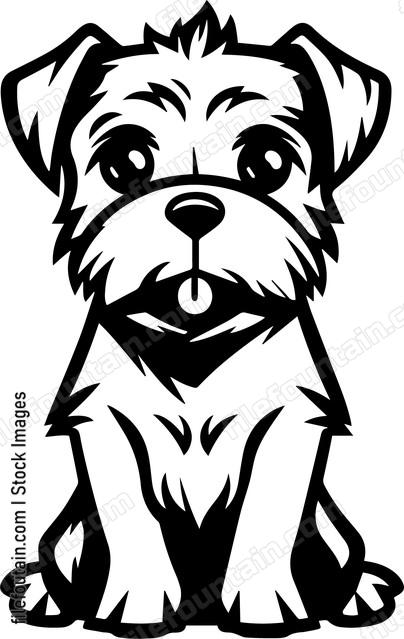 Border Terrier