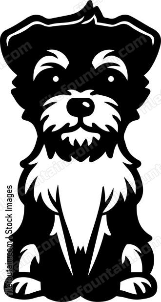 Border Terrier