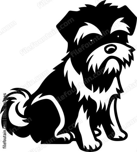 Border Terrier