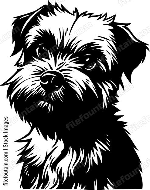 Border Terrier