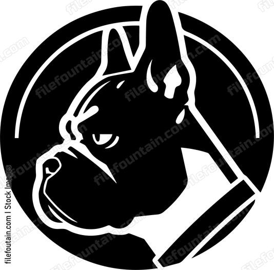 Boxer Dog