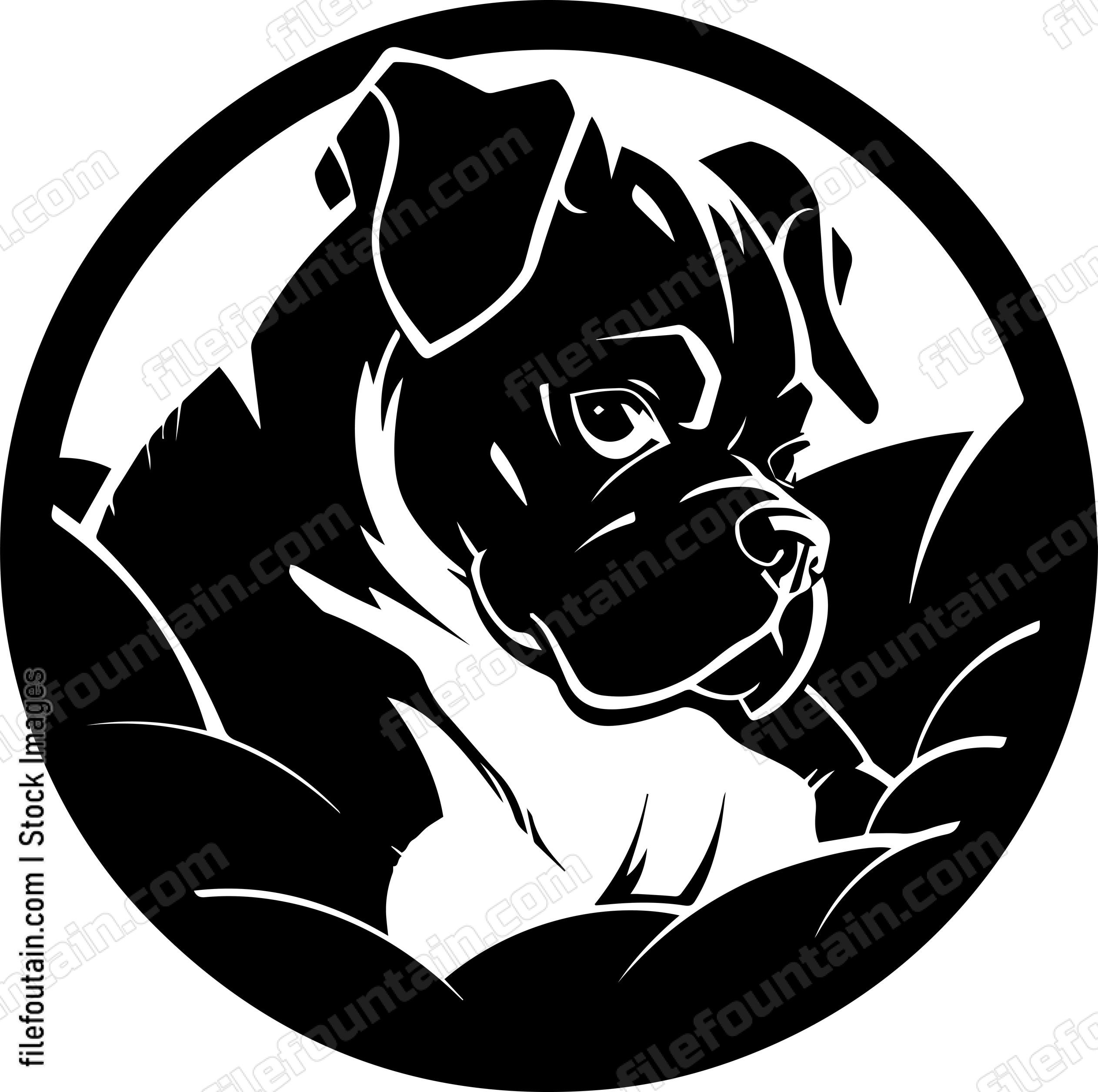 Boxer Dog