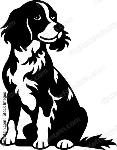 Brittany Spaniel