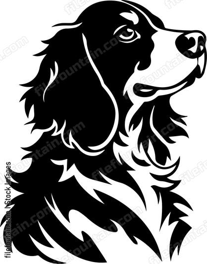 Brittany Spaniel