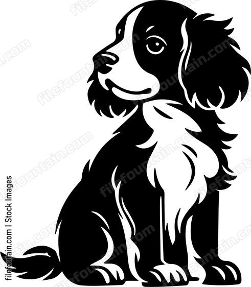 Brittany Spaniel