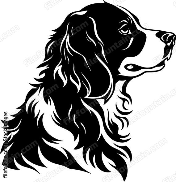 Brittany Spaniel