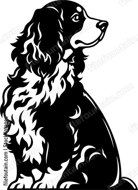 Brittany Spaniel