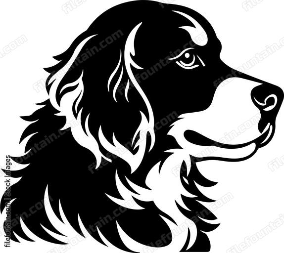 Brittany Spaniel
