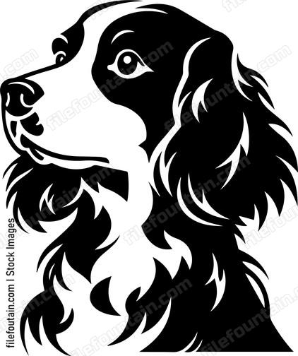 Brittany Spaniel