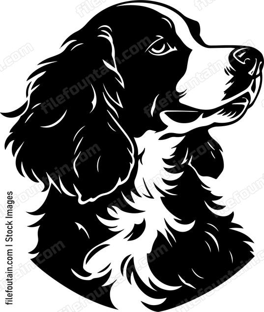 Brittany Spaniel