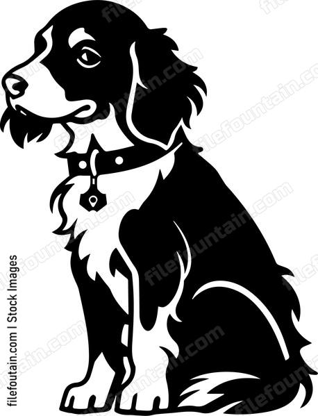 Brittany Spaniel
