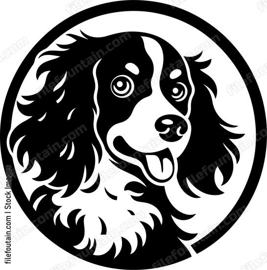 Brittany Spaniel