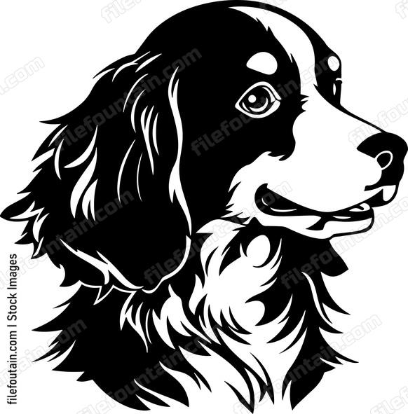 Brittany Spaniel