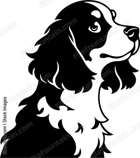 Brittany Spaniel