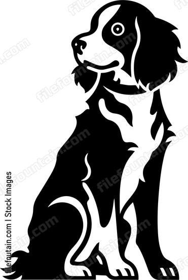 Brittany Spaniel