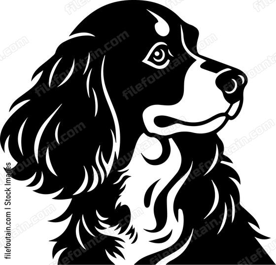 Brittany Spaniel
